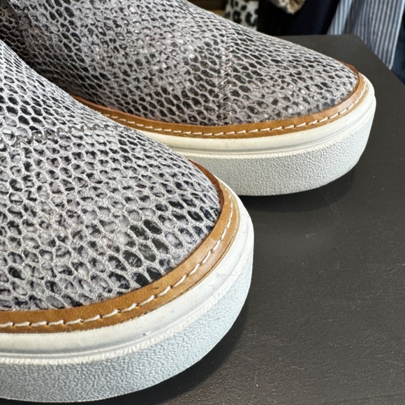 TOMS PAXTON MID-TOP SLIP-ON SNEAKER snake print 5 - Picture 9 of 9